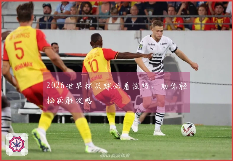 2026世界杯买球必看技巧，助你轻松获胜攻略