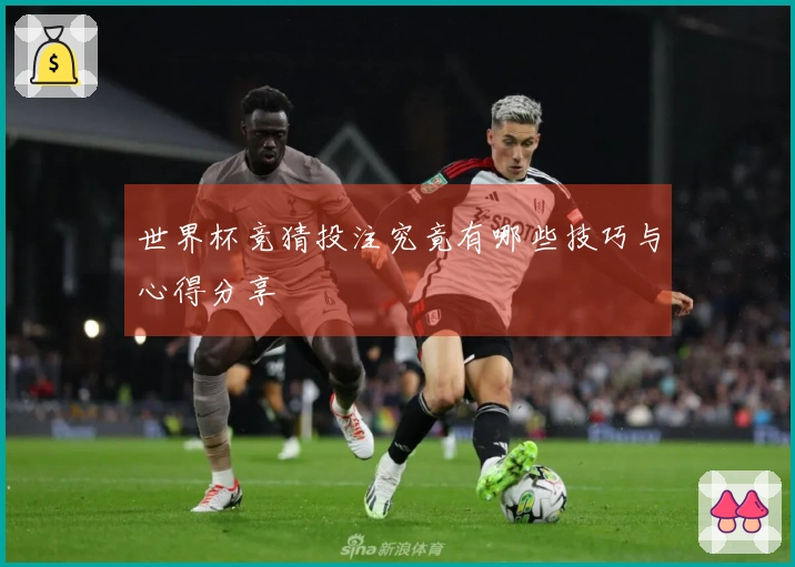 世界杯竞猜投注究竟有哪些技巧与心得分享